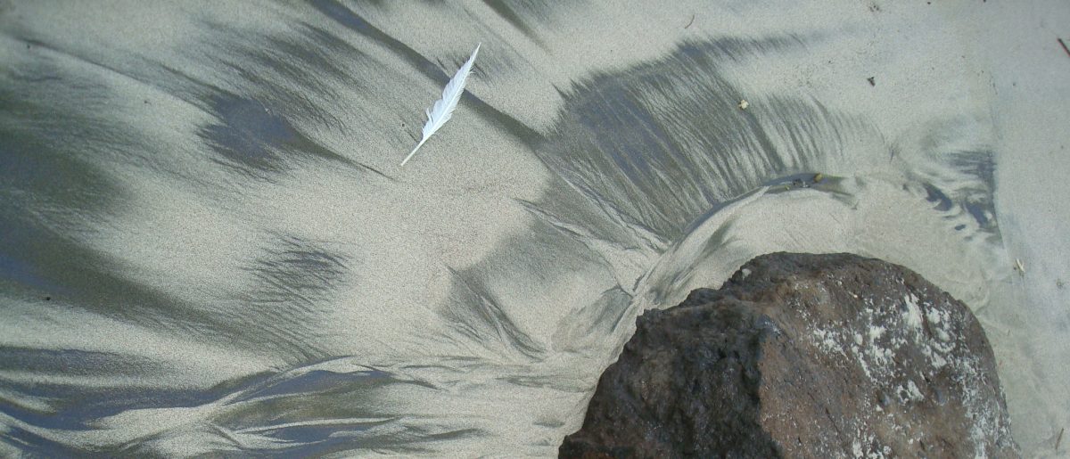 First Words from a Sea Bird